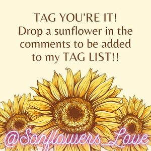 TAG YOU’RE IT!!!! This my tag list!!!